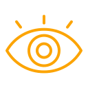 Vision